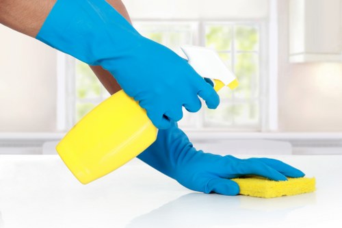 Sustainable recycling and cleaning practices in Kensington