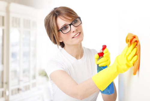 Window cleaning for Kensington period homes and townhouses
