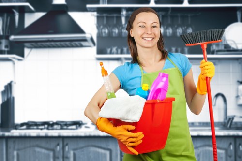 Deep cleaning equipment used for pet stain and odour removal in Kensington homes