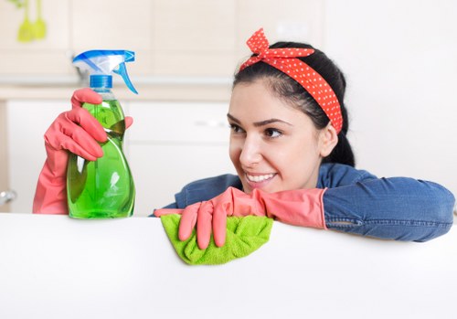 Pet accident stain treatment in a Kensington flat with careful upholstery cleaning