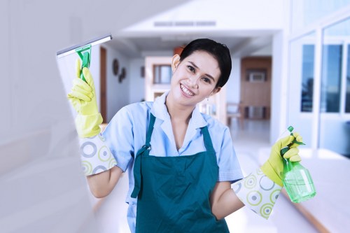 Local cleaner working in a Kensington apartment kitchen