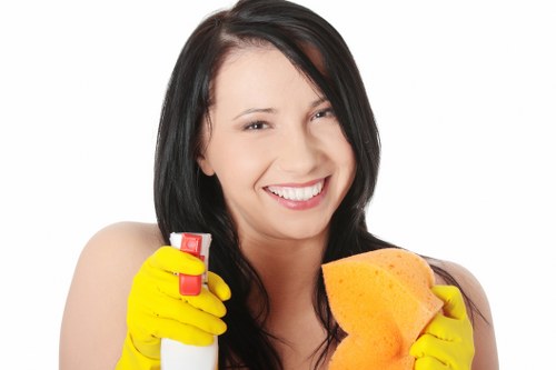Weekly cleaning tasks for a Kensington flat and kitchen area