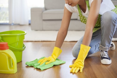 Deep cleaning of oven racks and trays for Kensington homes and businesses